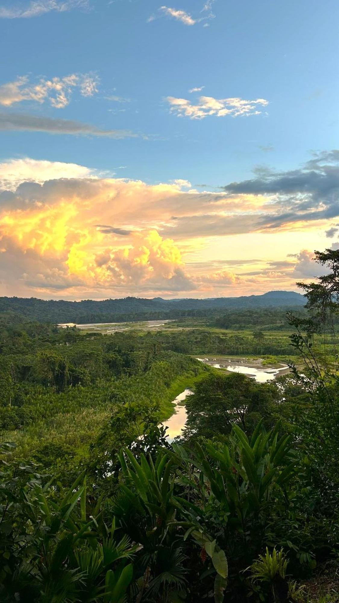 Gaia Amazon Eco Lodge Ahuano エクステリア 写真