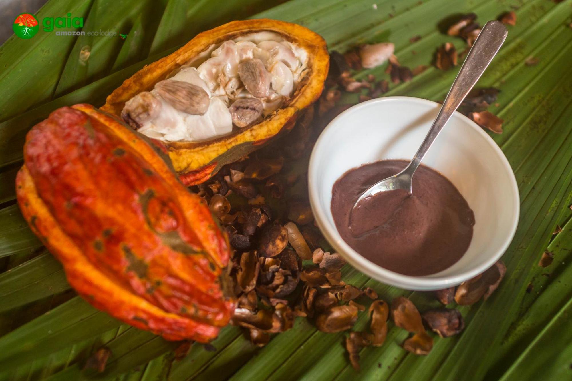Gaia Amazon Eco Lodge Ahuano エクステリア 写真